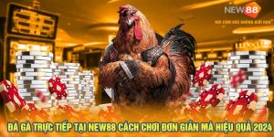 Đá Gà Trực Tiếp Tại New88 Cách Chơi Đơn Giản Mà Hiệu Quả 2024