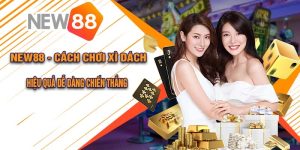 New88 - Cách Chơi Xì Dách Hiệu Quả Dễ Dàng Chiến Thắng