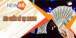 Hướng Dẫn Chơi Kèo Chẵn Lẻ Tại New88 Hiệu Quả Nhất