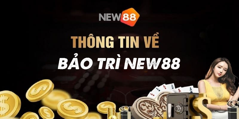 Hướng dẫn cập nhật thông tin bảo trì New88